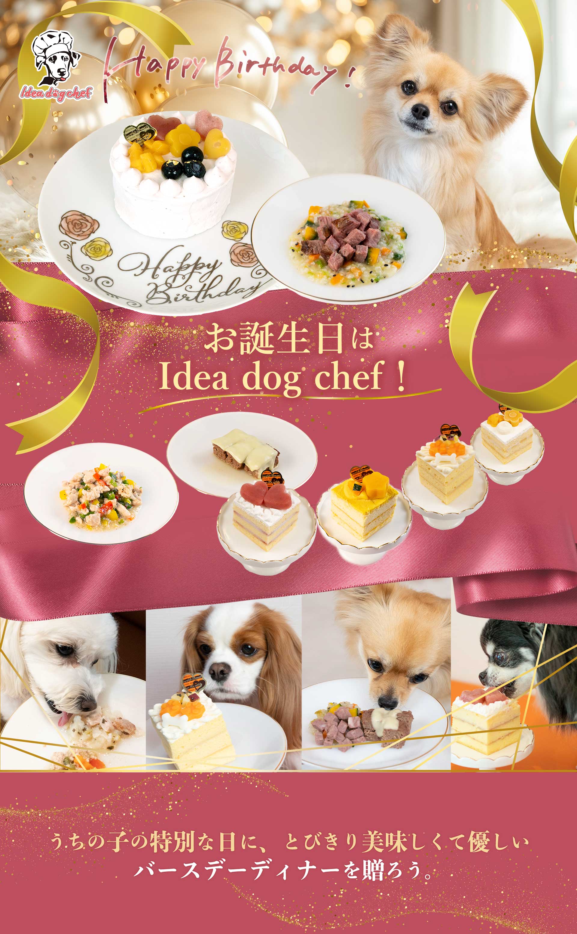 犬用お誕生日ご飯