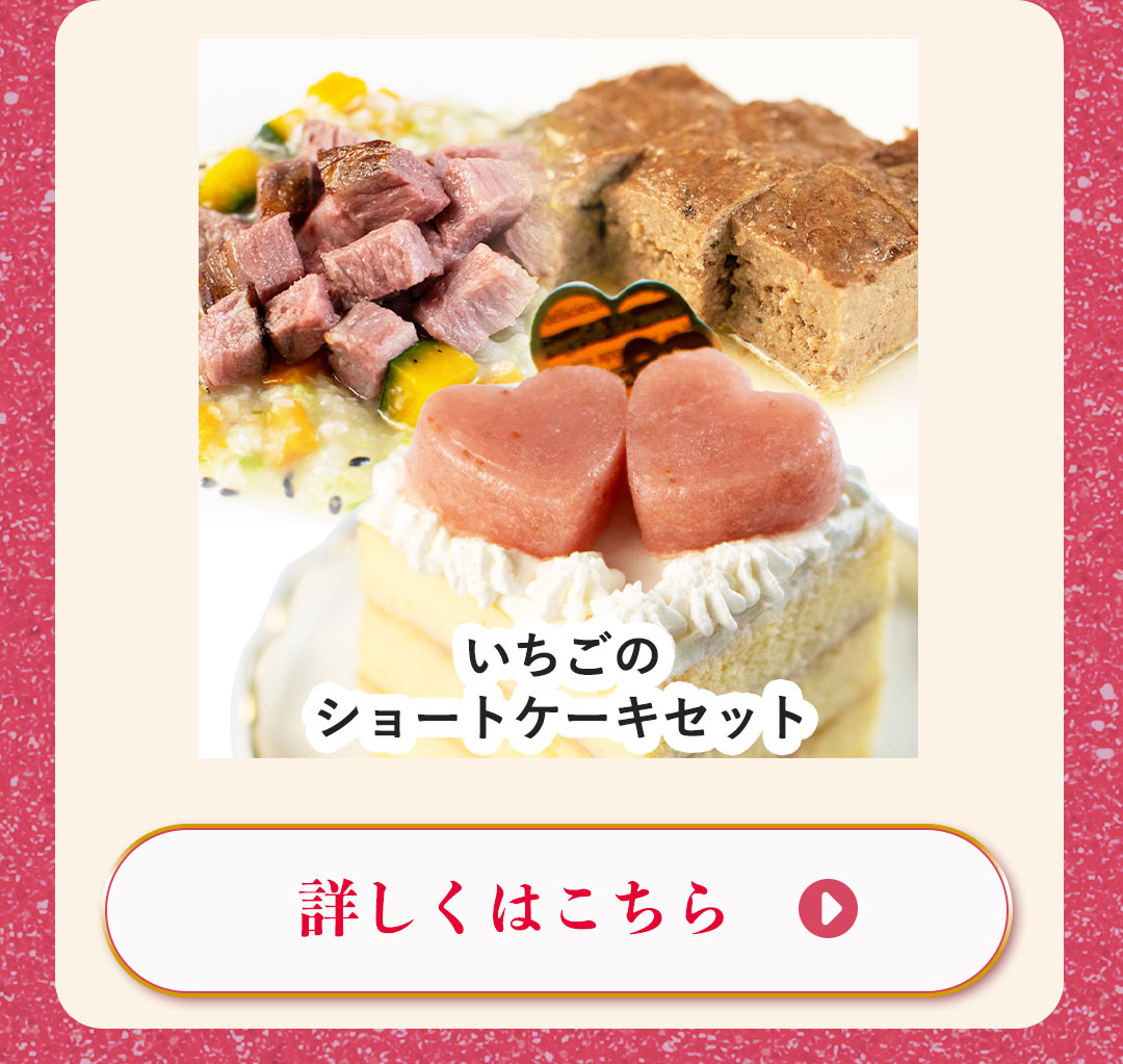 いちごのショートケーキセット