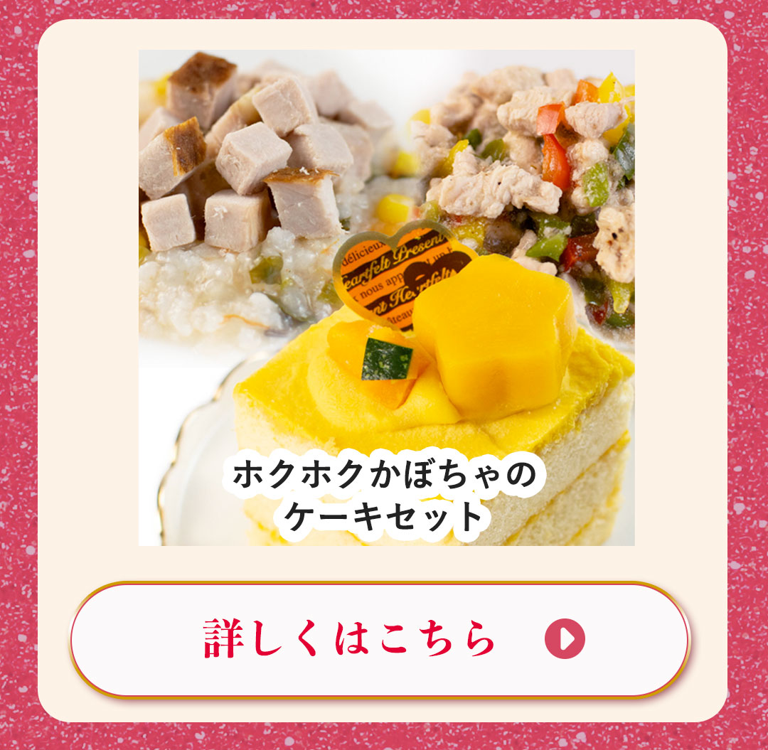 ホクホクかぼちゃのケーキセット