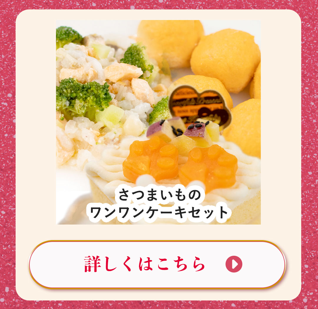 さつまいものワンワンケーキセット
