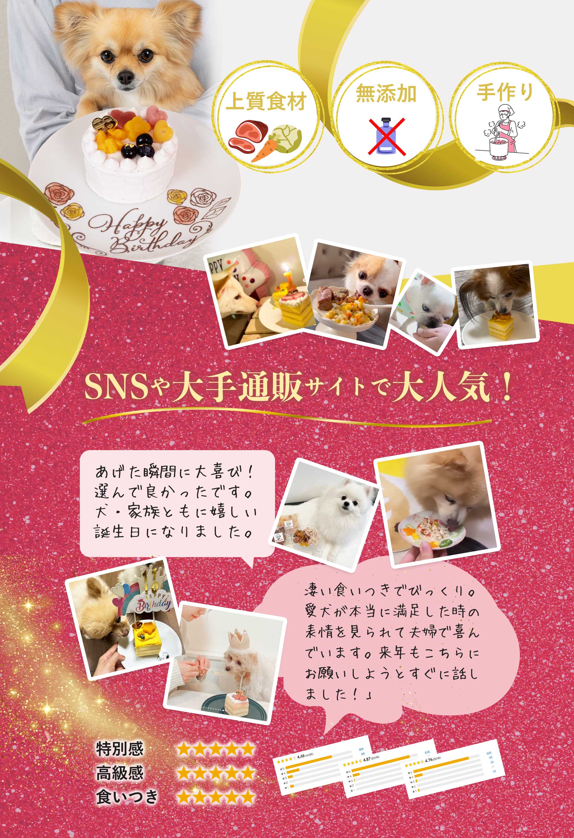 犬用お誕生日ご飯