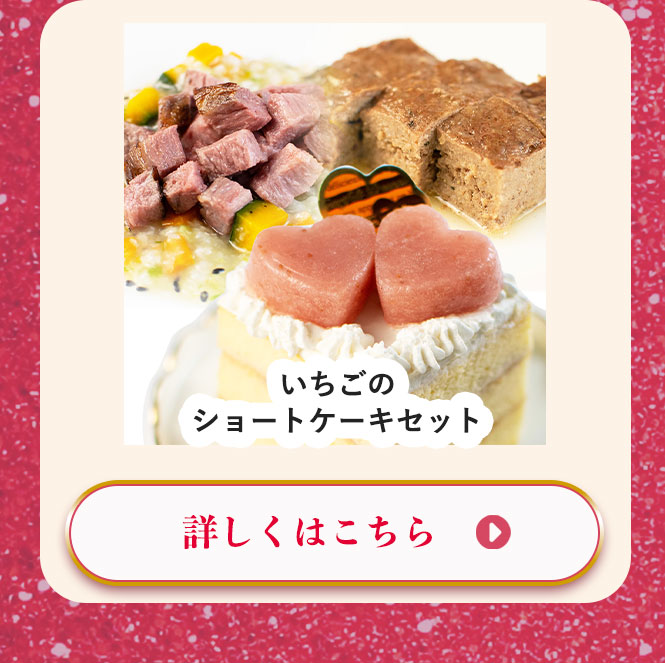 いちごのショートケーキセット