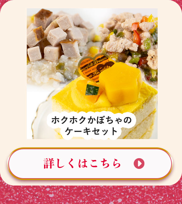 ホクホクかぼちゃのケーキセット