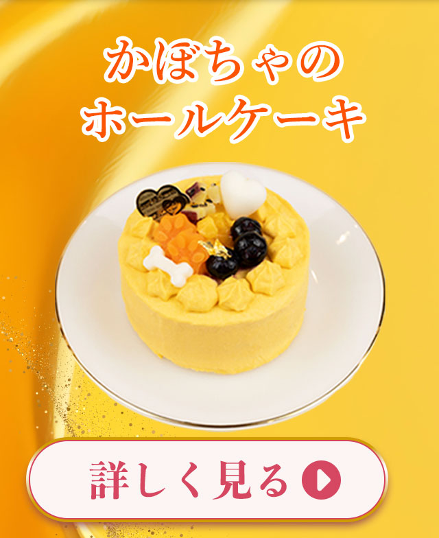 かぼちゃのホールケーキ