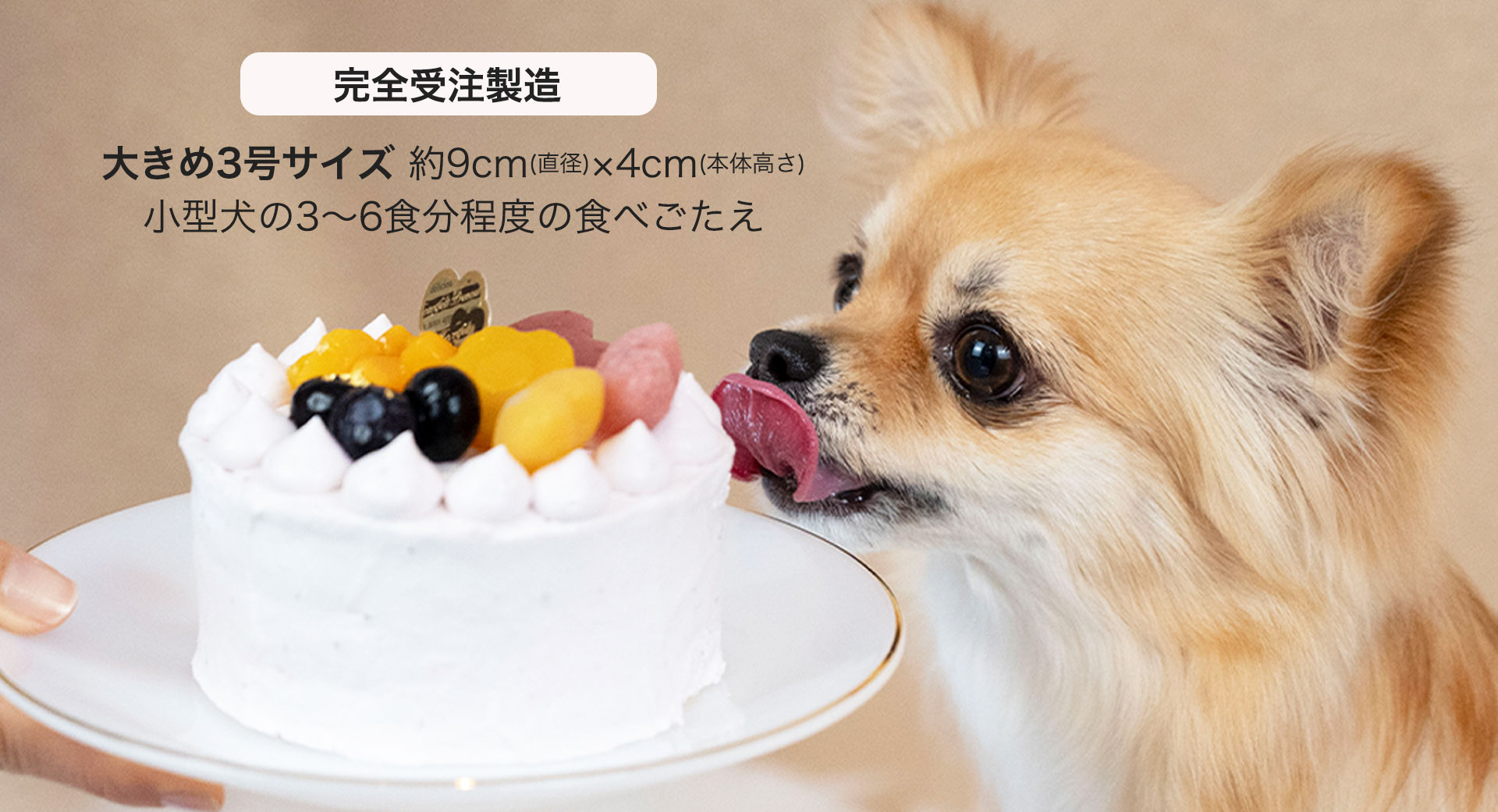 犬用お誕生日ご飯