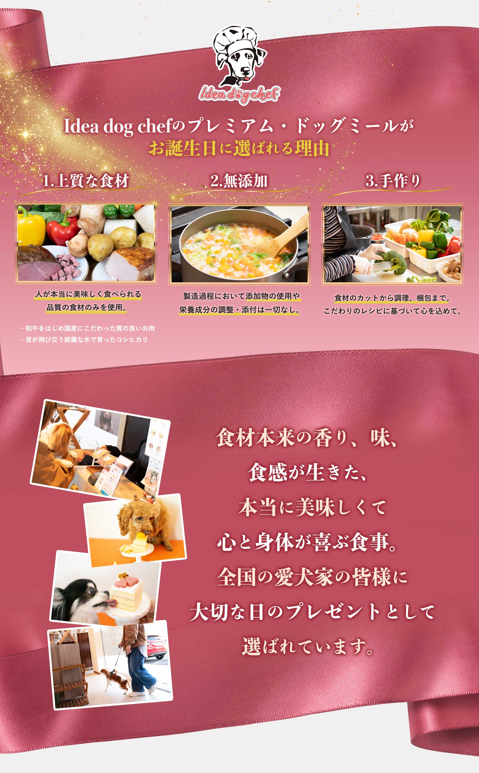 犬用お誕生日ご飯