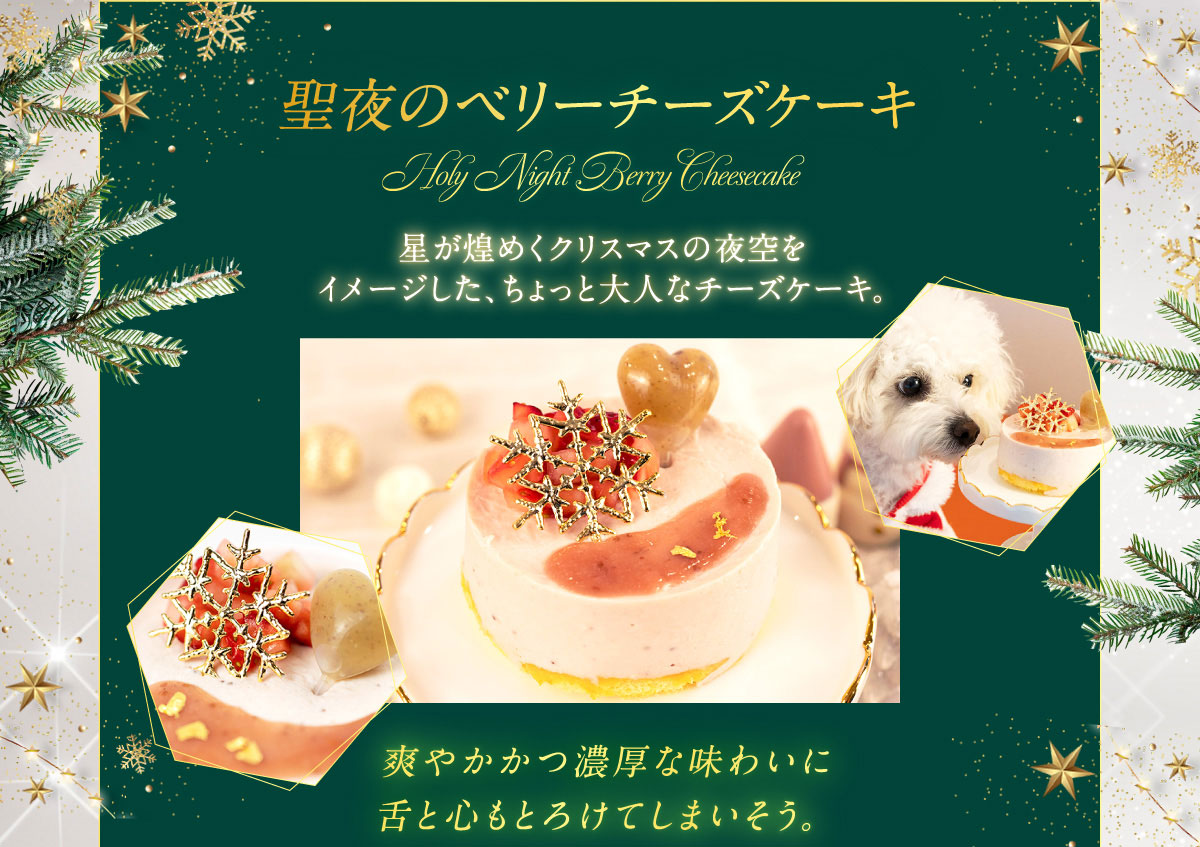 イデアドッグシェフのクリスマス犬用