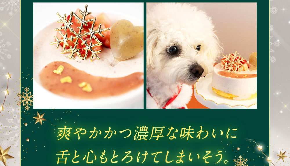 イデアドッグシェフのクリスマス犬用