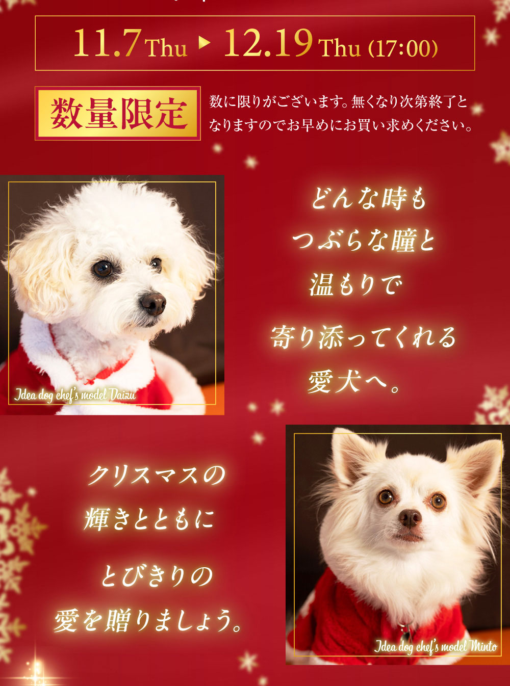 イデアドッグシェフのクリスマス犬用