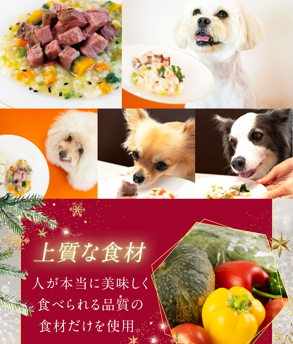 イデアドッグシェフのクリスマス犬用