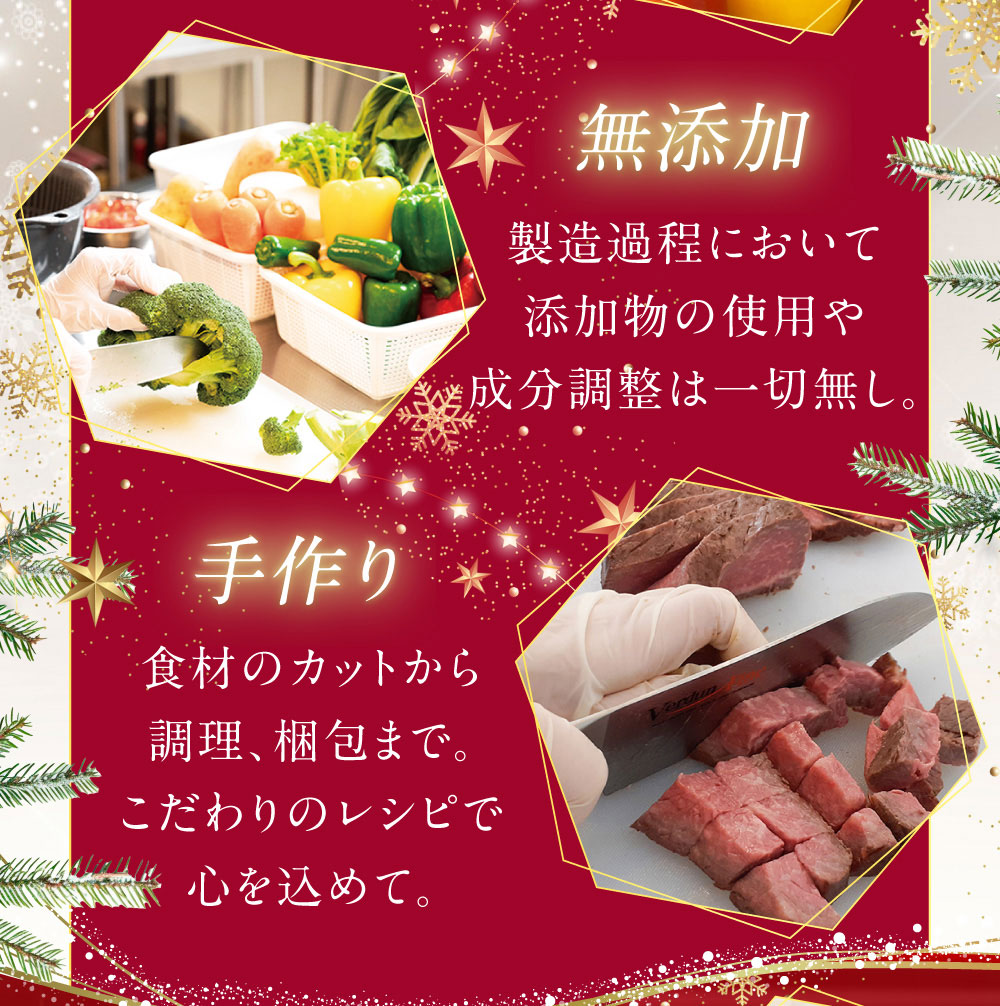 イデアドッグシェフのクリスマス犬用