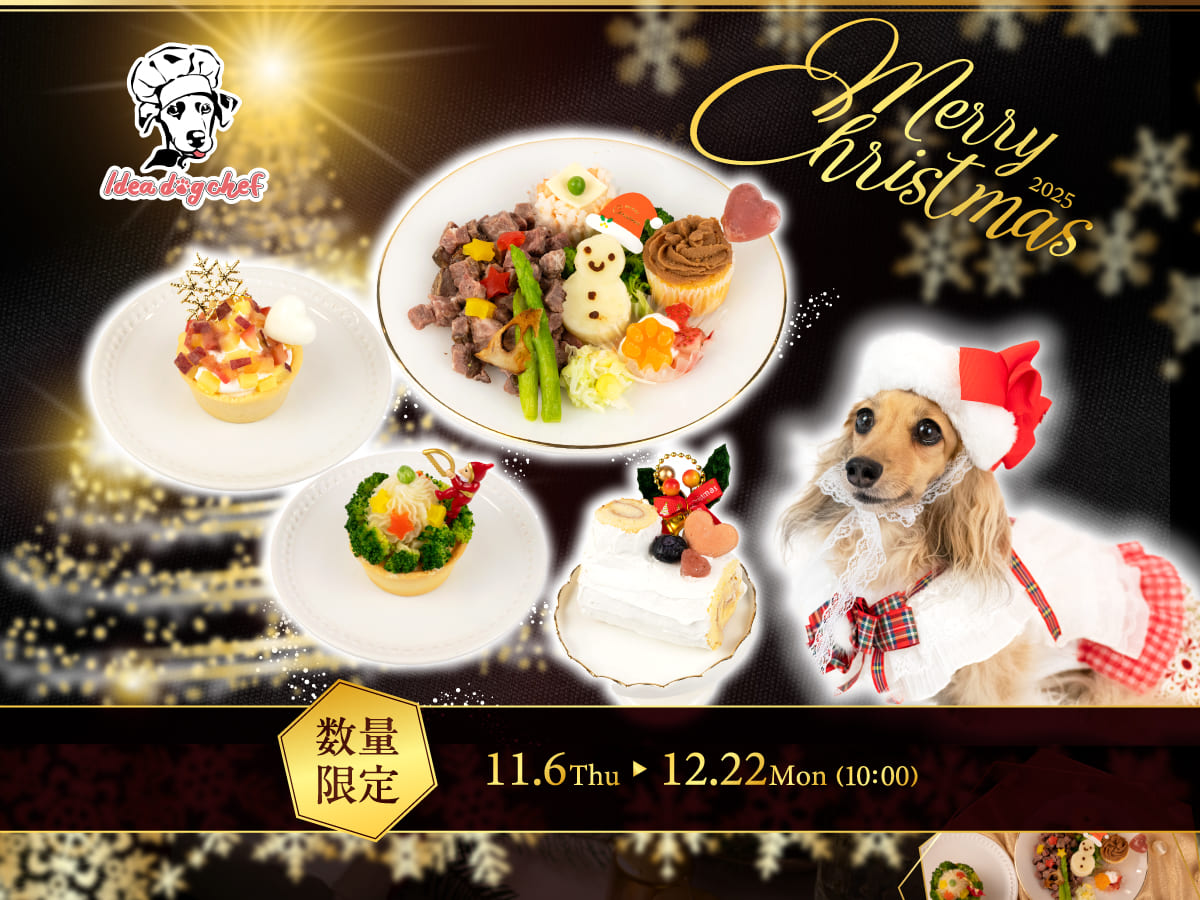イデアドッグシェフのクリスマス犬用