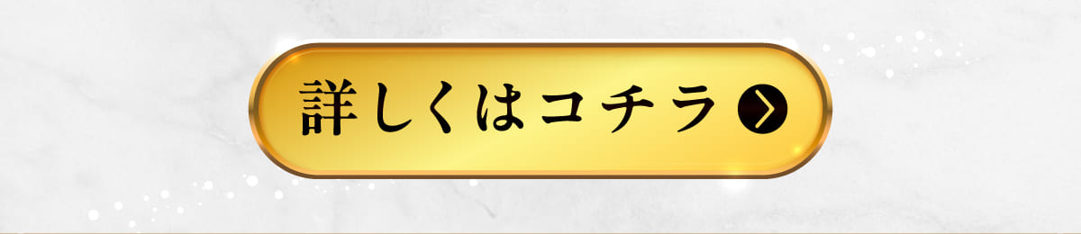イデアドッグシェフのクリスマス犬用