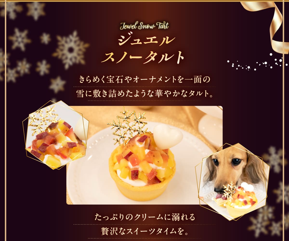 イデアドッグシェフのクリスマス犬用