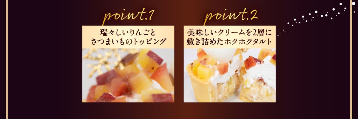 イデアドッグシェフのクリスマス犬用