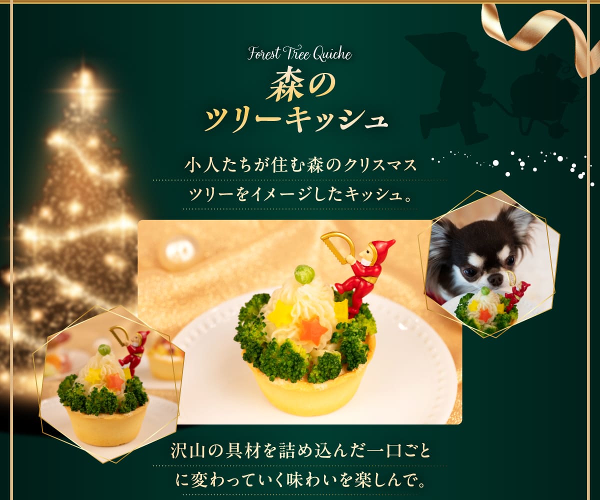 イデアドッグシェフのクリスマス犬用