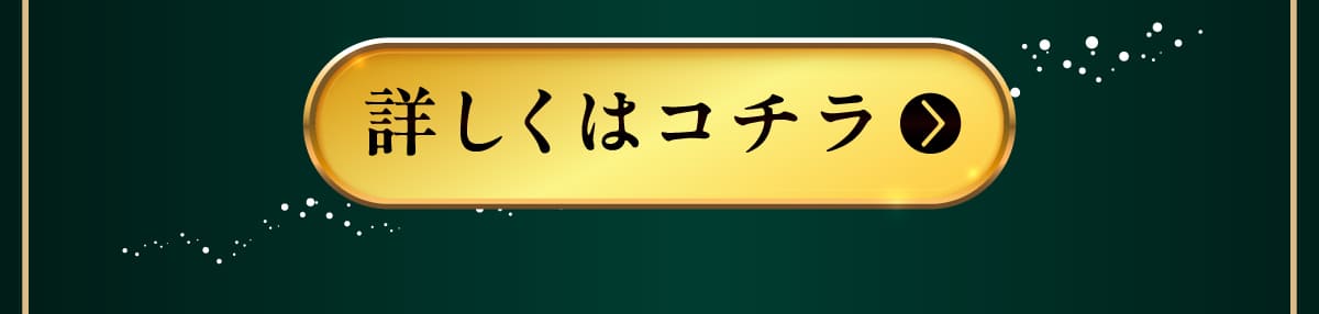 イデアドッグシェフのクリスマス犬用