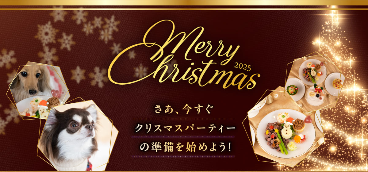 イデアドッグシェフのクリスマス犬用