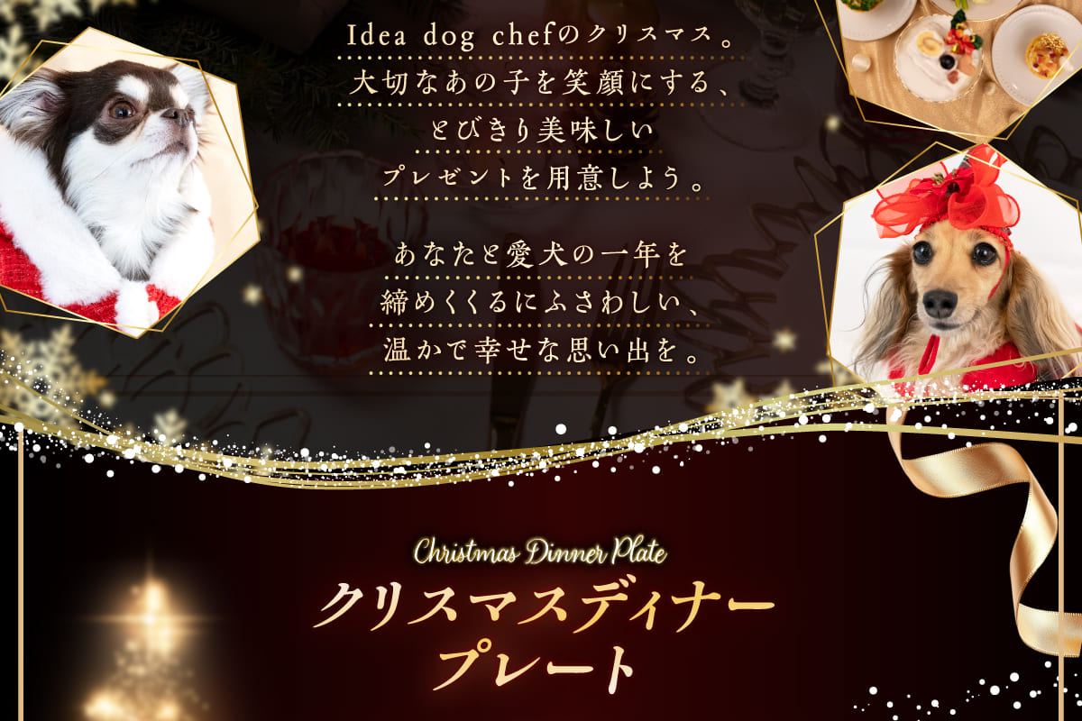 イデアドッグシェフのクリスマス犬用