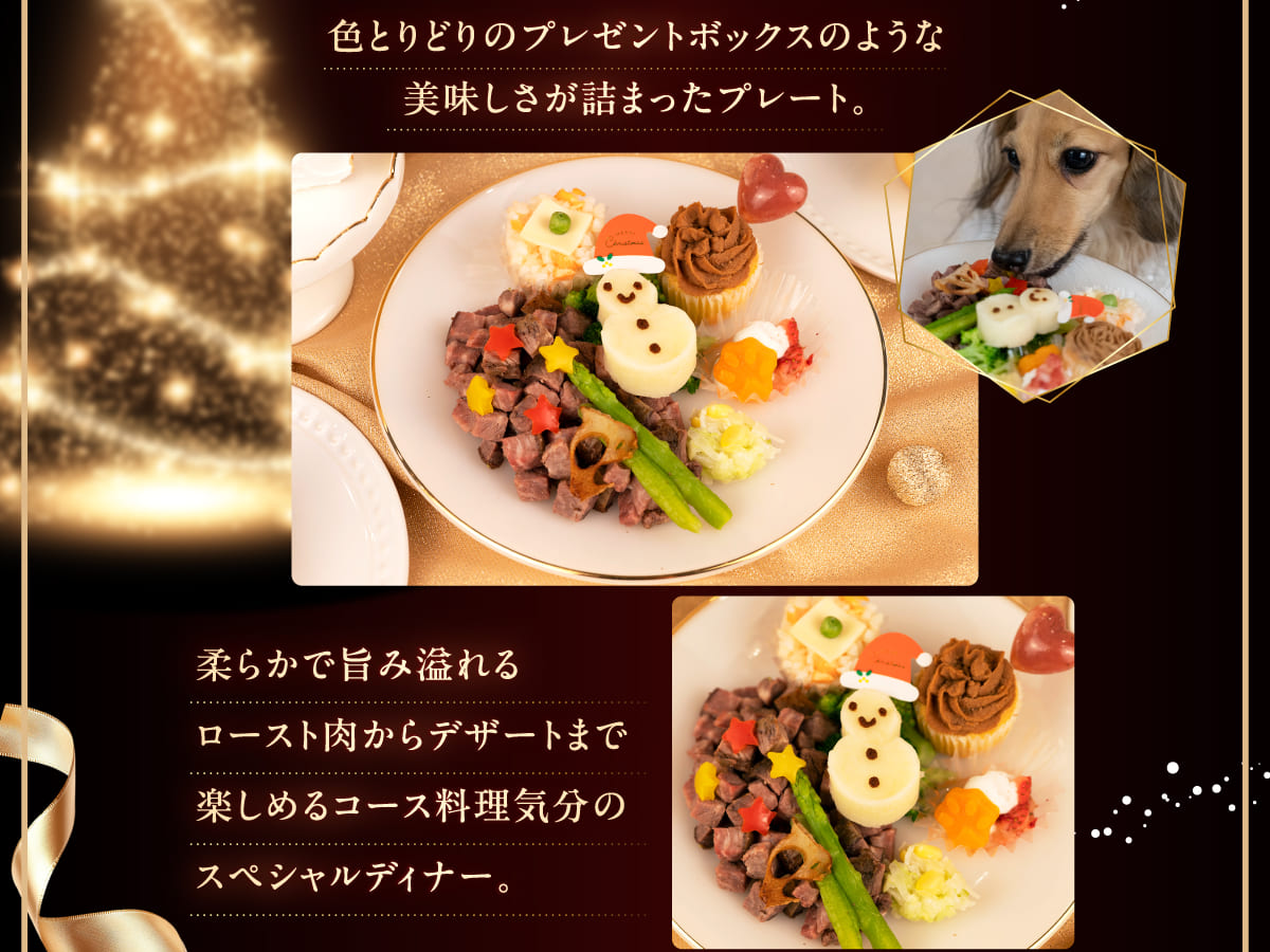 イデアドッグシェフのクリスマス犬用