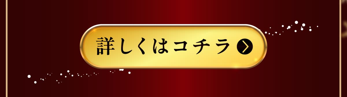 イデアドッグシェフのクリスマス犬用