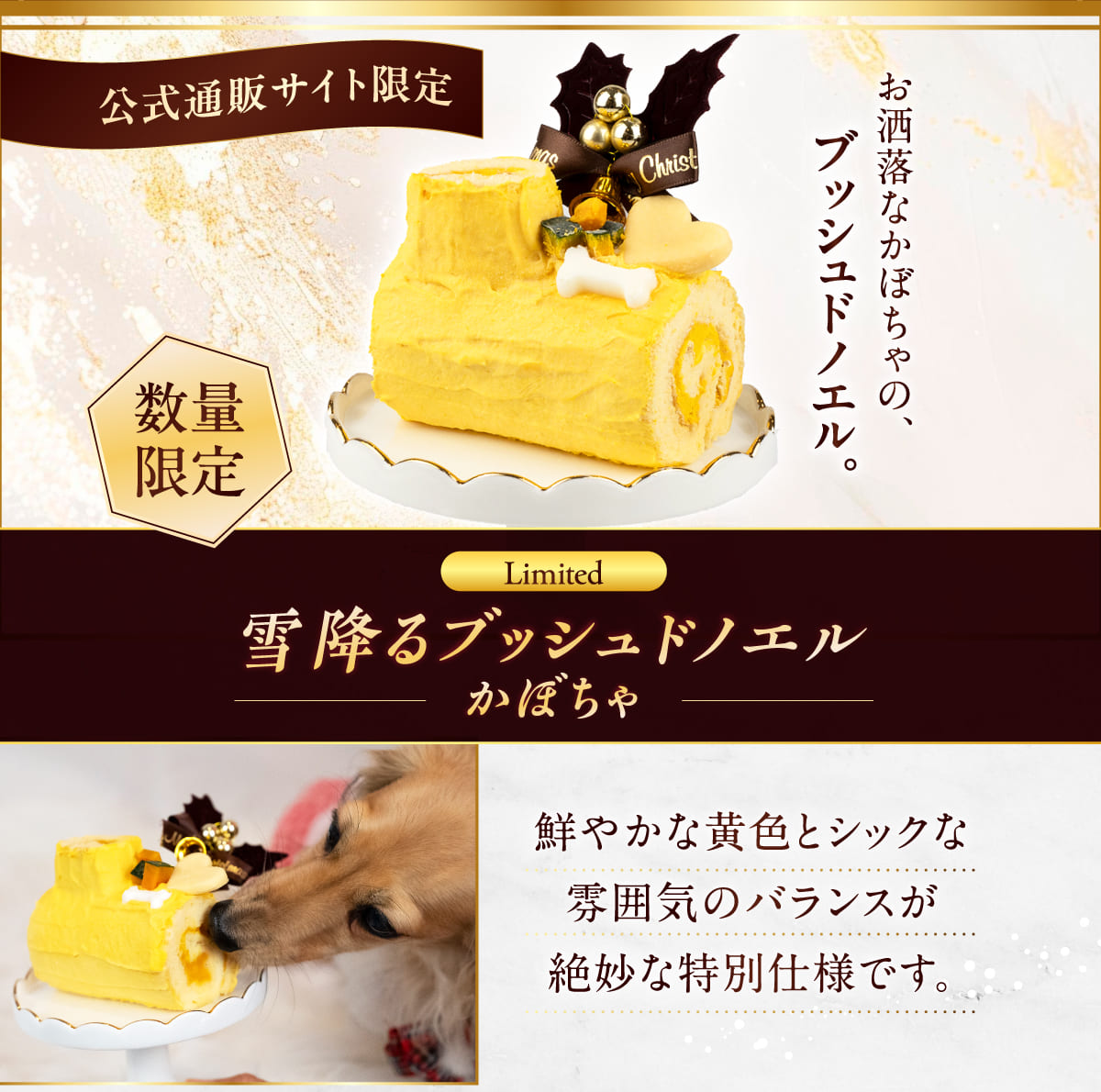 イデアドッグシェフのクリスマス犬用