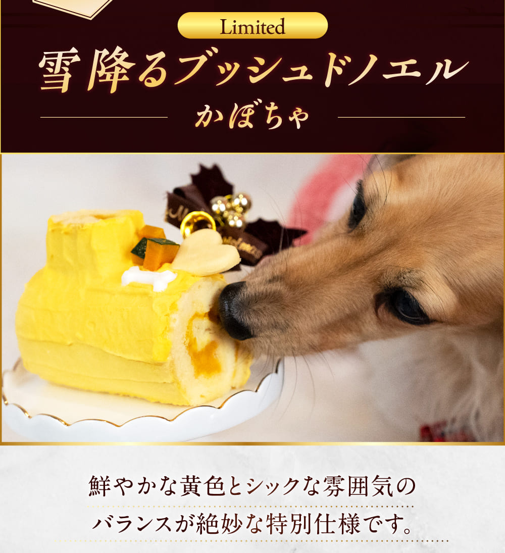 イデアドッグシェフのクリスマス犬用