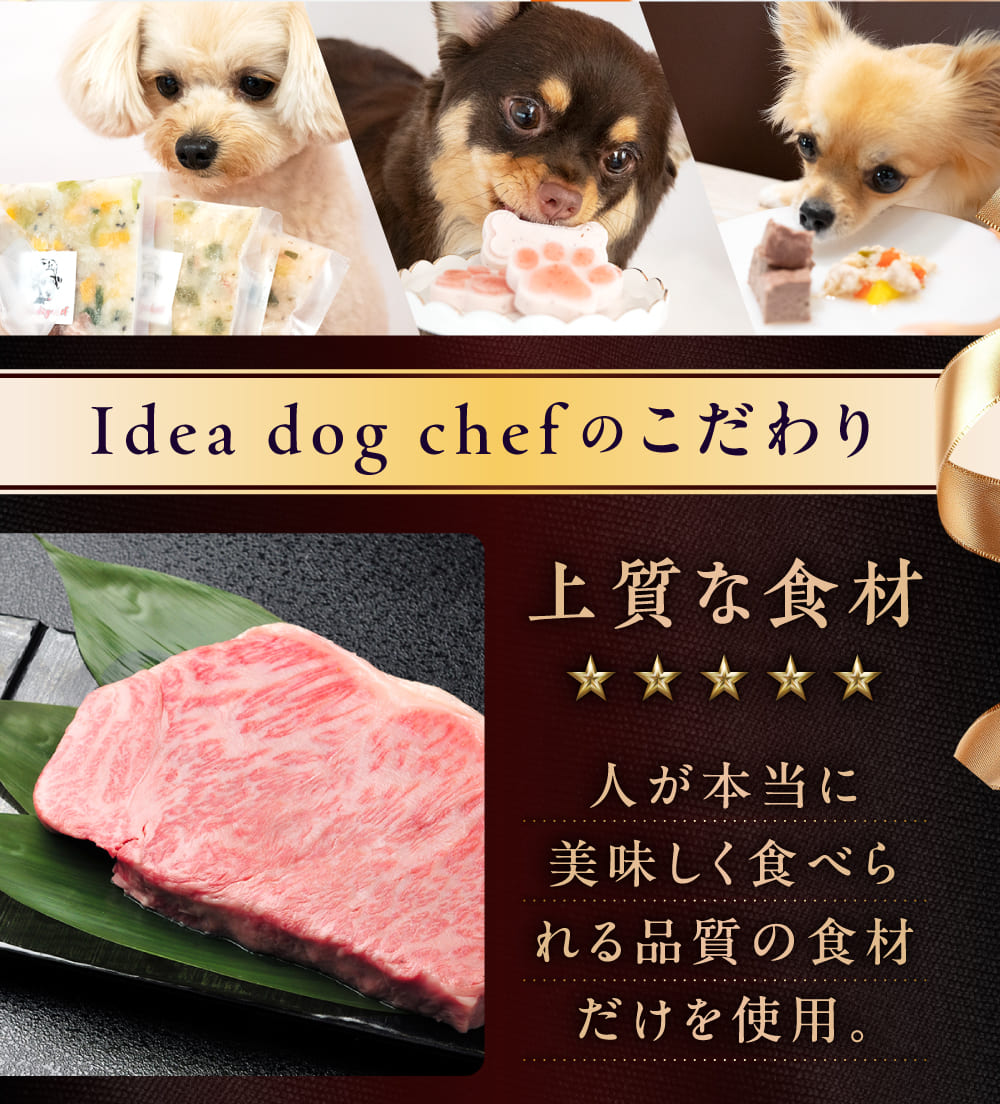 イデアドッグシェフのクリスマス犬用