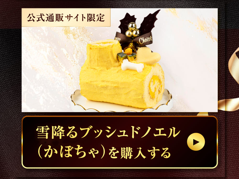 クリスマスSPイメージ 32