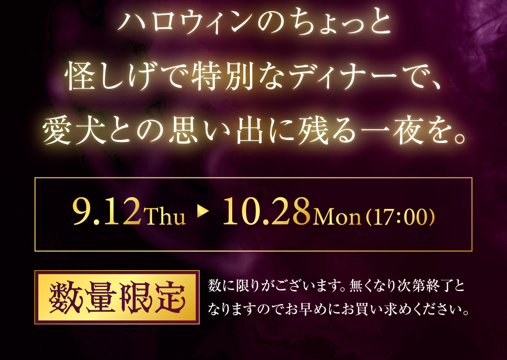 イデアドッグシェフのハロウィン犬用ご飯