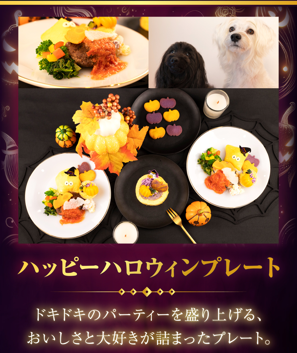 イデアドッグシェフのハロウィン犬用ご飯