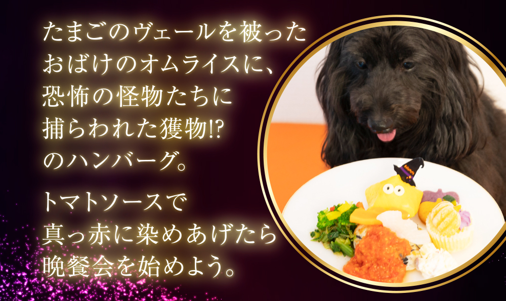 イデアドッグシェフのハロウィン犬用ご飯