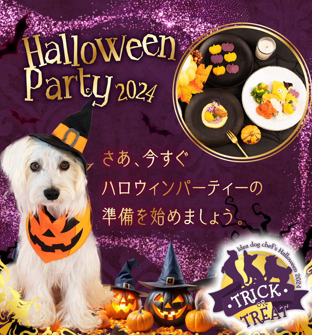 イデアドッグシェフのハロウィン犬用ご飯