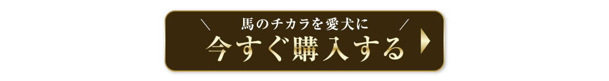 今すぐ購入する