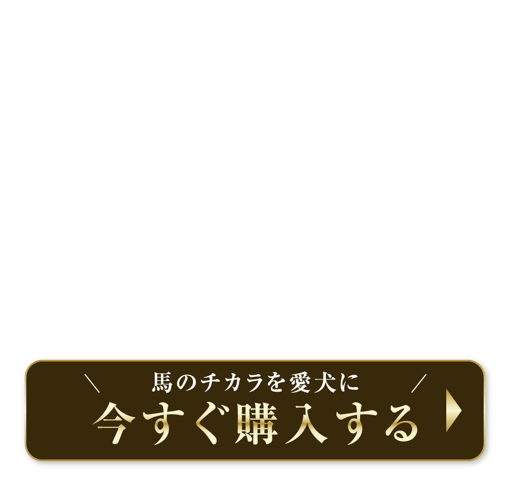 今すぐ購入する