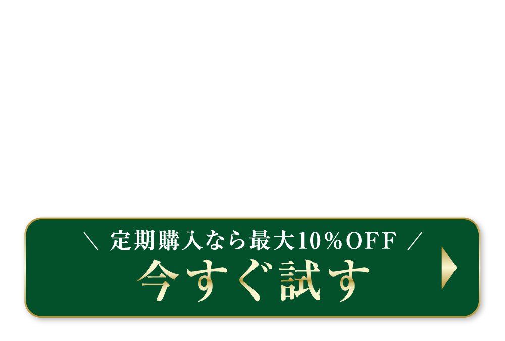 今すぐ試す