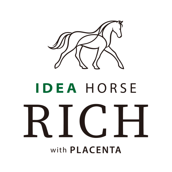 IDEA HORSE RICH