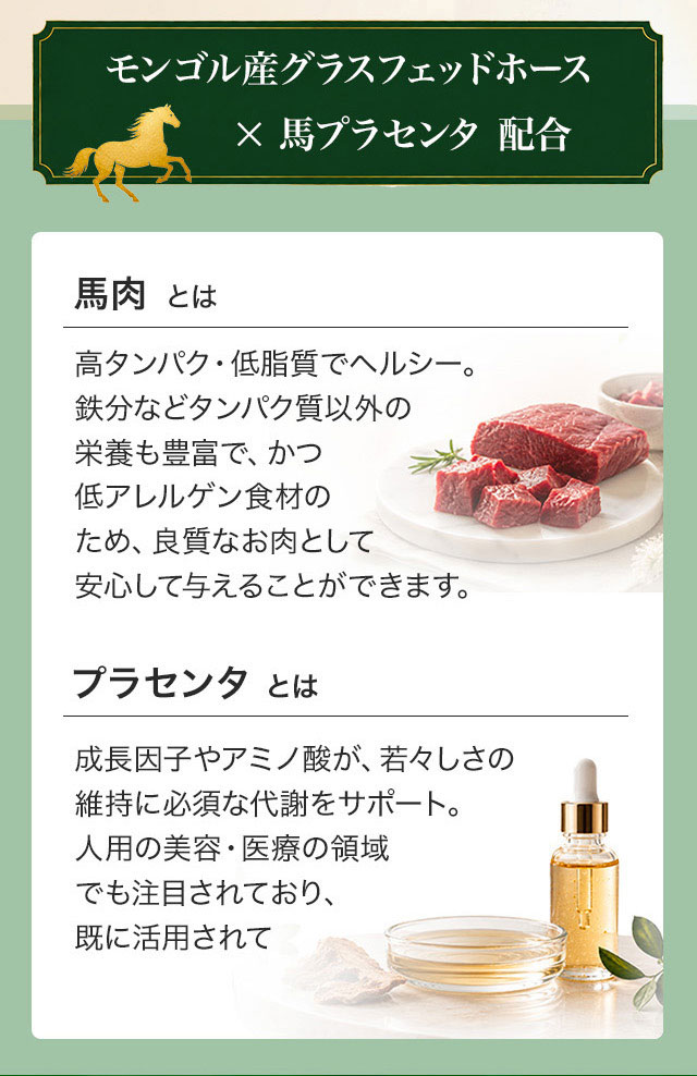 イデアホースリッチ