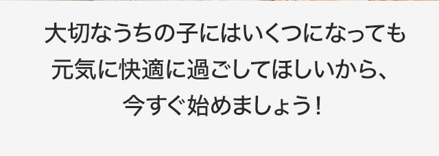 イデアホースリッチ