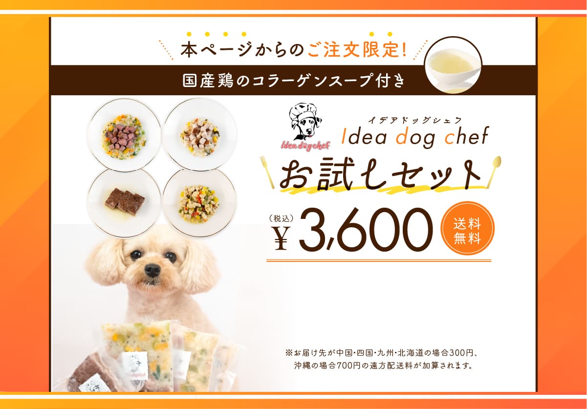 Idea dog chef お試しセット