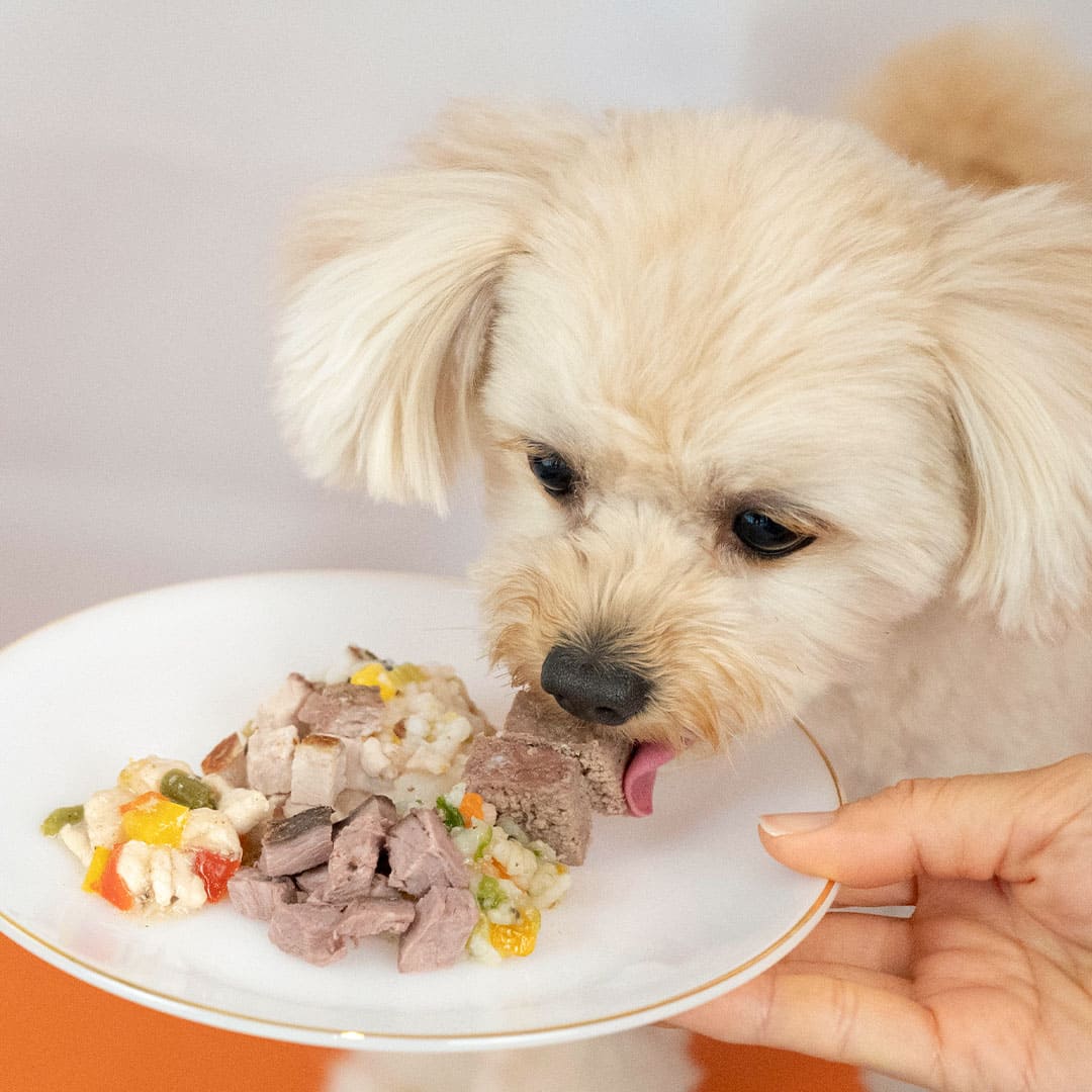 食事の楽しさ