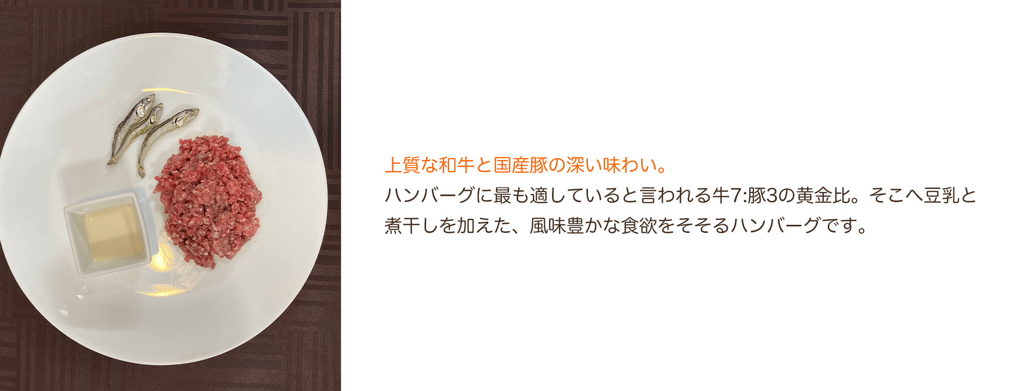 【定期購入】豆乳仕立ての特製チーズハンバーグ(5個セット)
