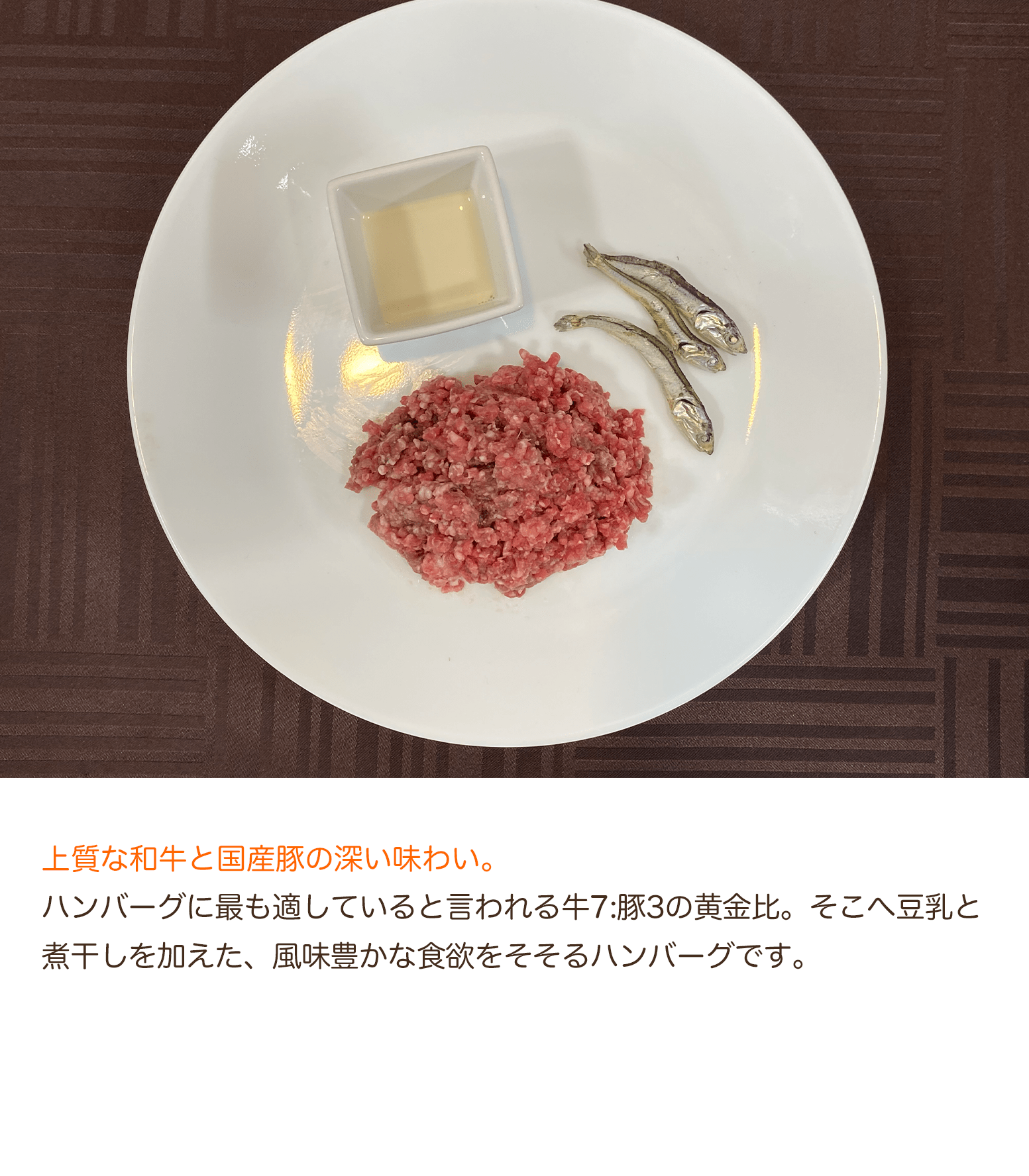 【定期購入】豆乳仕立ての特製チーズハンバーグ(5個セット)