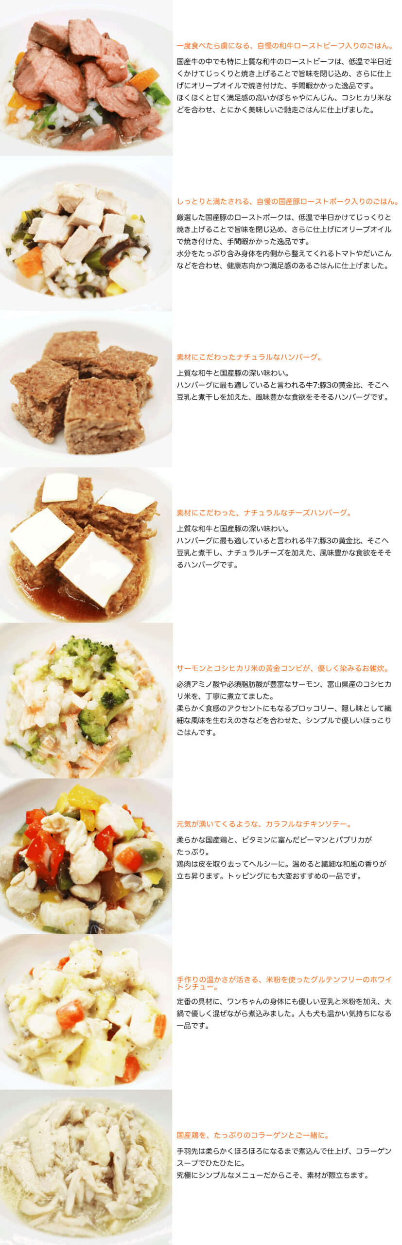 メインディッシュセット Idea Dog Chef イデアドッグシェフ