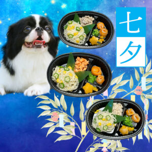 犬用七夕ご飯　スターフェスティバルプレート