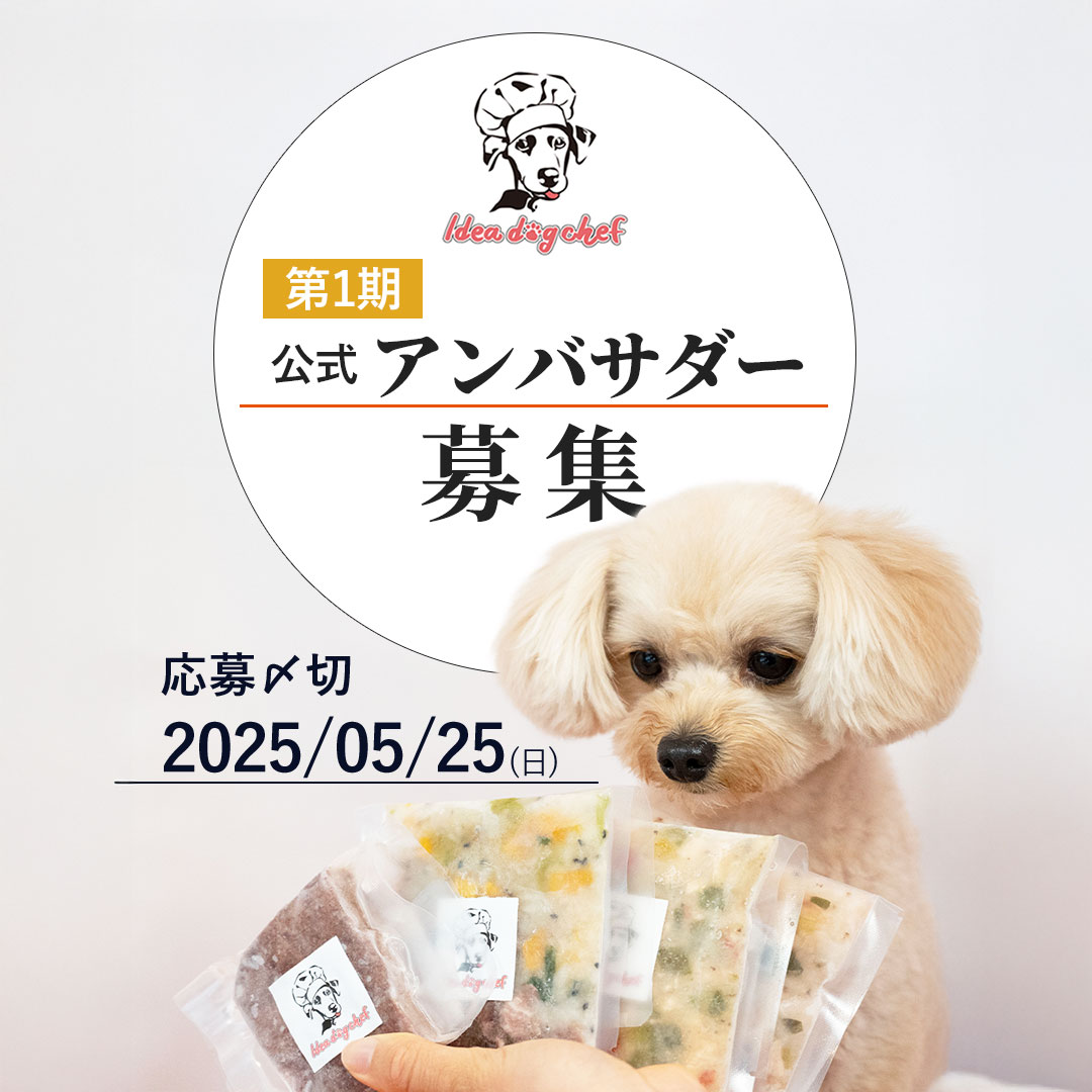 アンバサダー募集