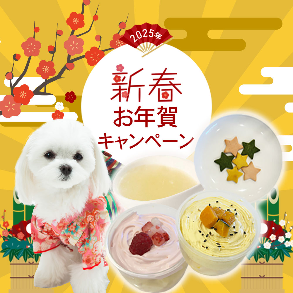 【新春お年賀キャンペーン開催】