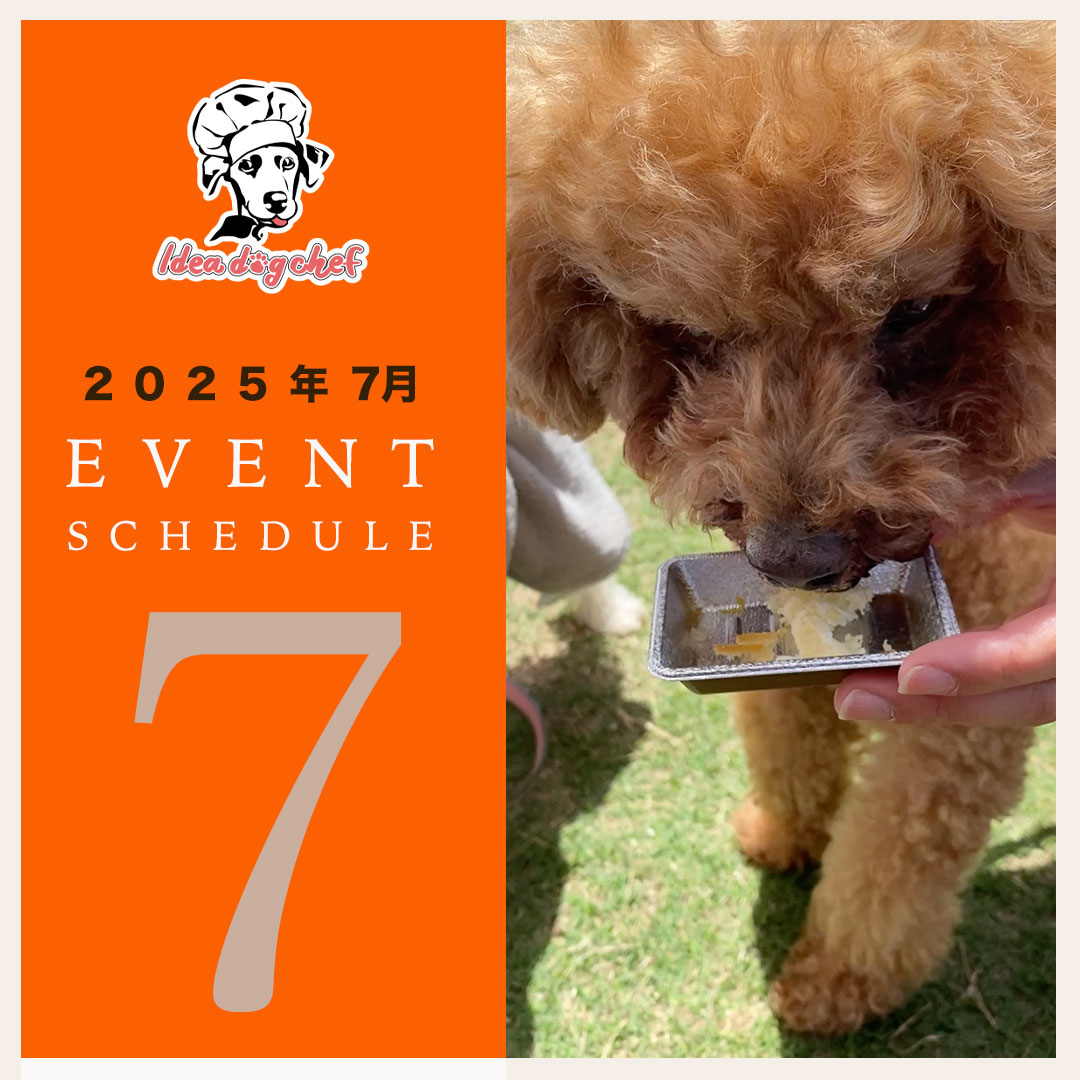 7月イベント・キャンペーン