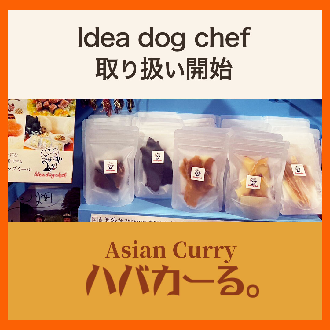 【新規取り扱い店情報】