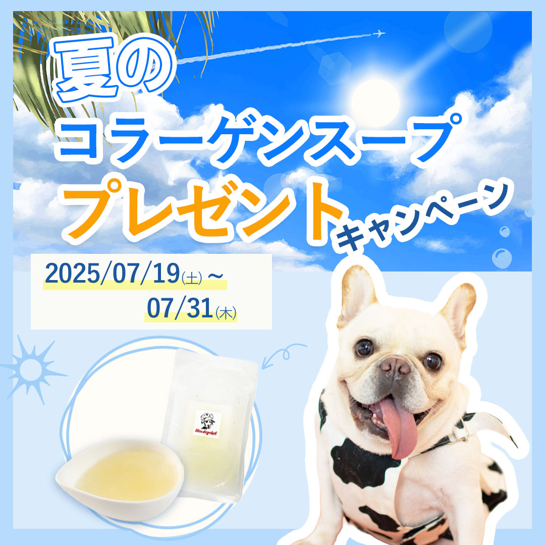 【夏のコラーゲンスーププレゼントキャンペーン】